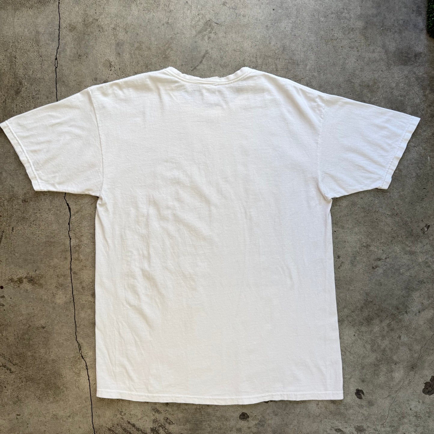 Vintage Alaska Graphic T-Shirt