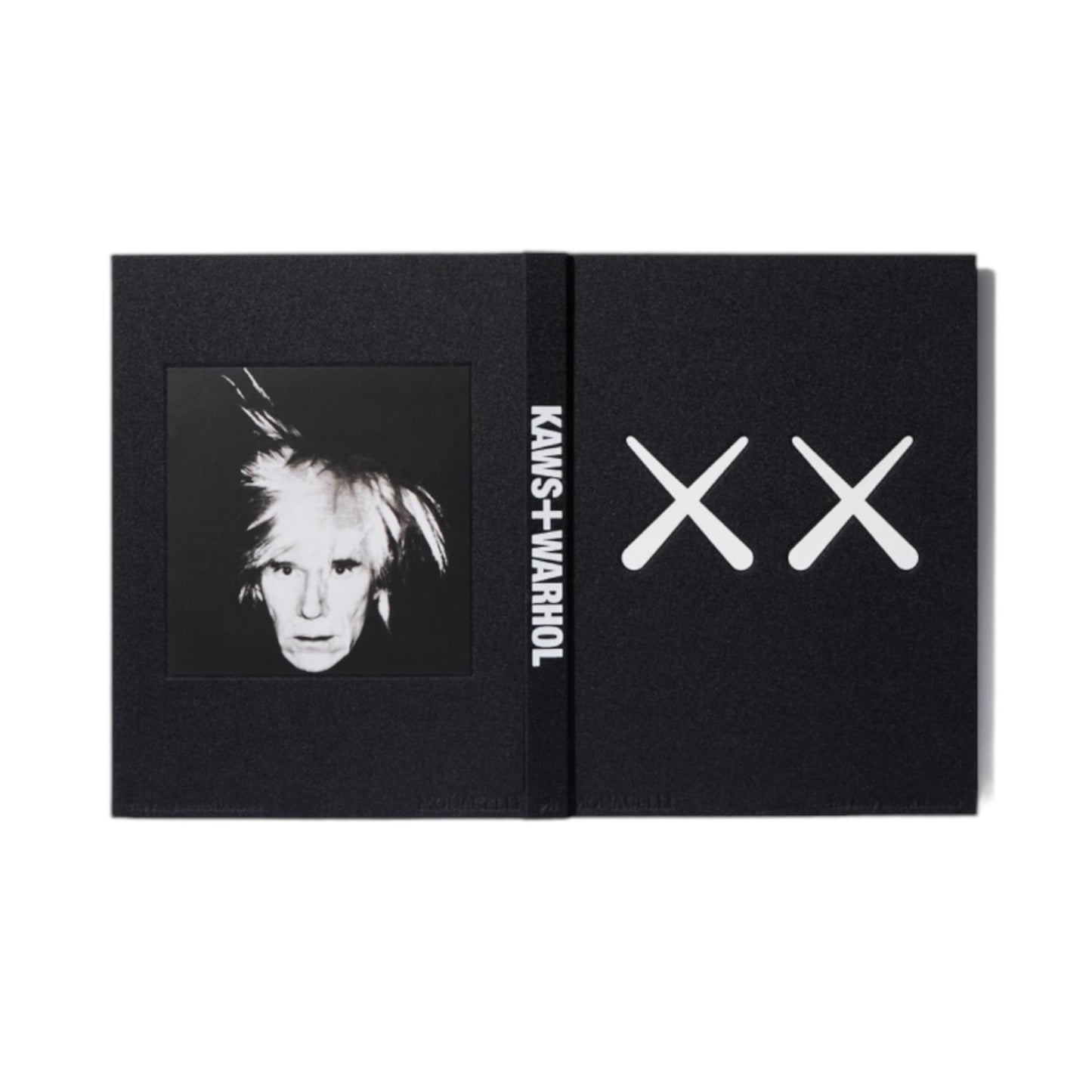 Livre d'art Kaws X Warhol