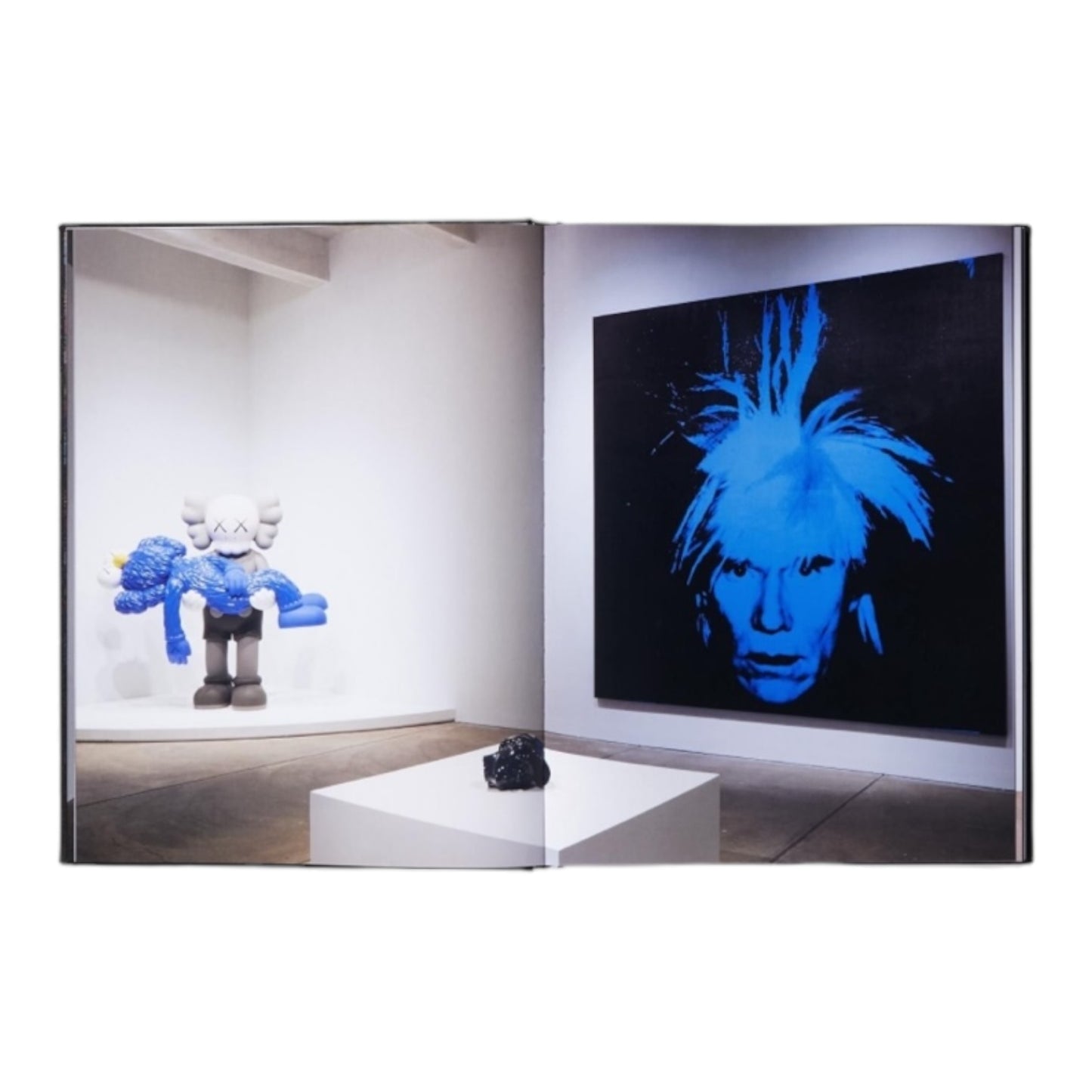 Livre d'art Kaws X Warhol