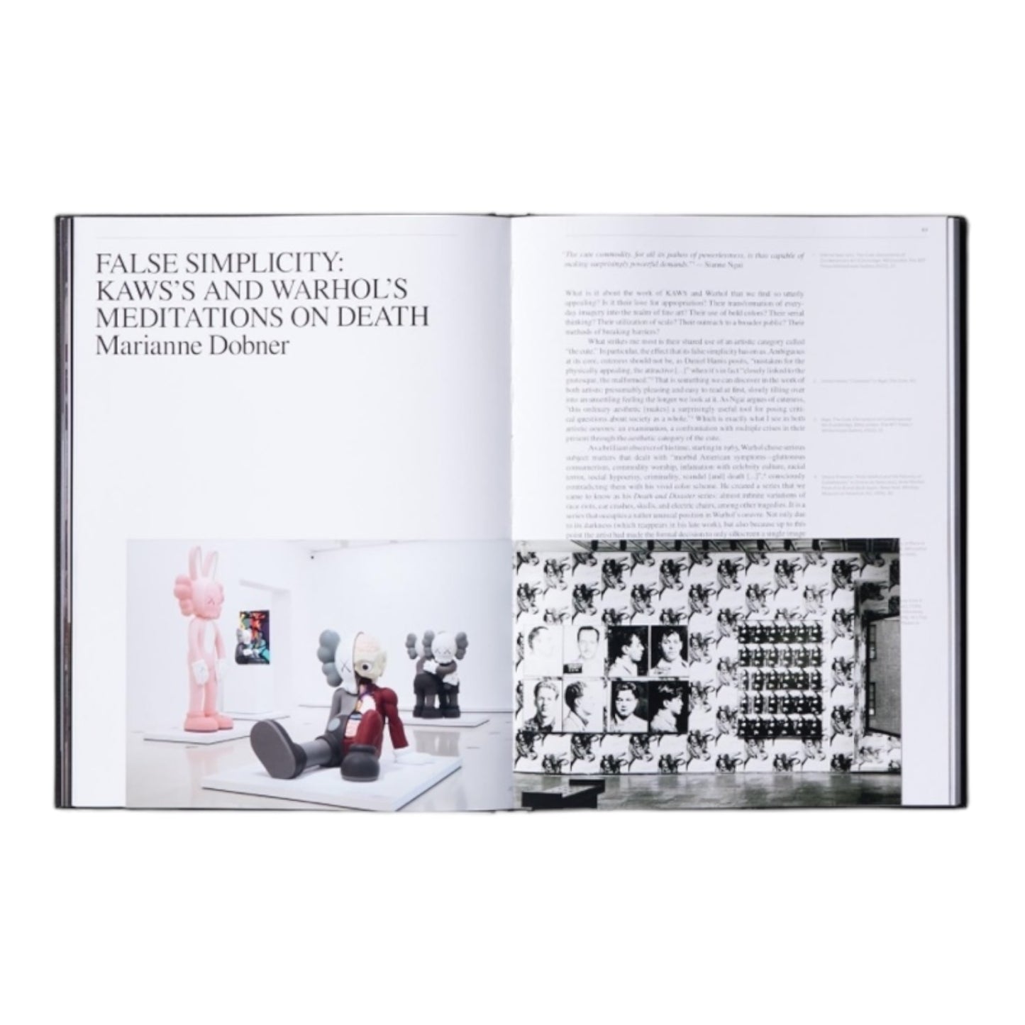 Livre d'art Kaws X Warhol