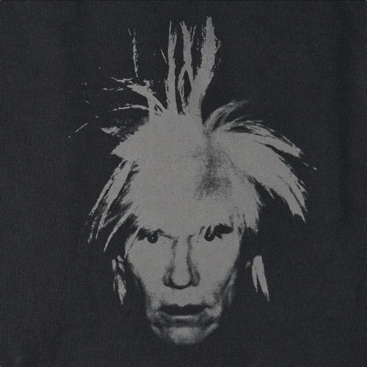 Sac fourre-tout KAWS X Warhol