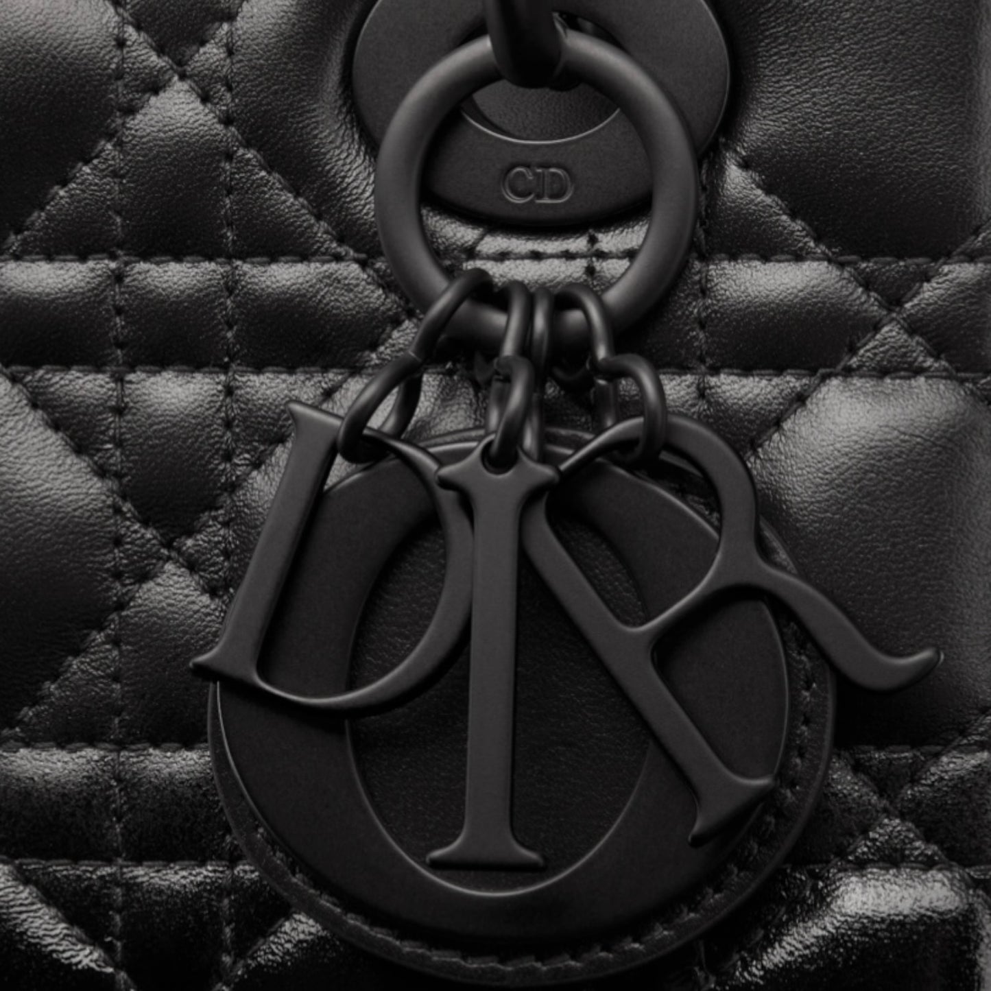 Lady Dior Bag