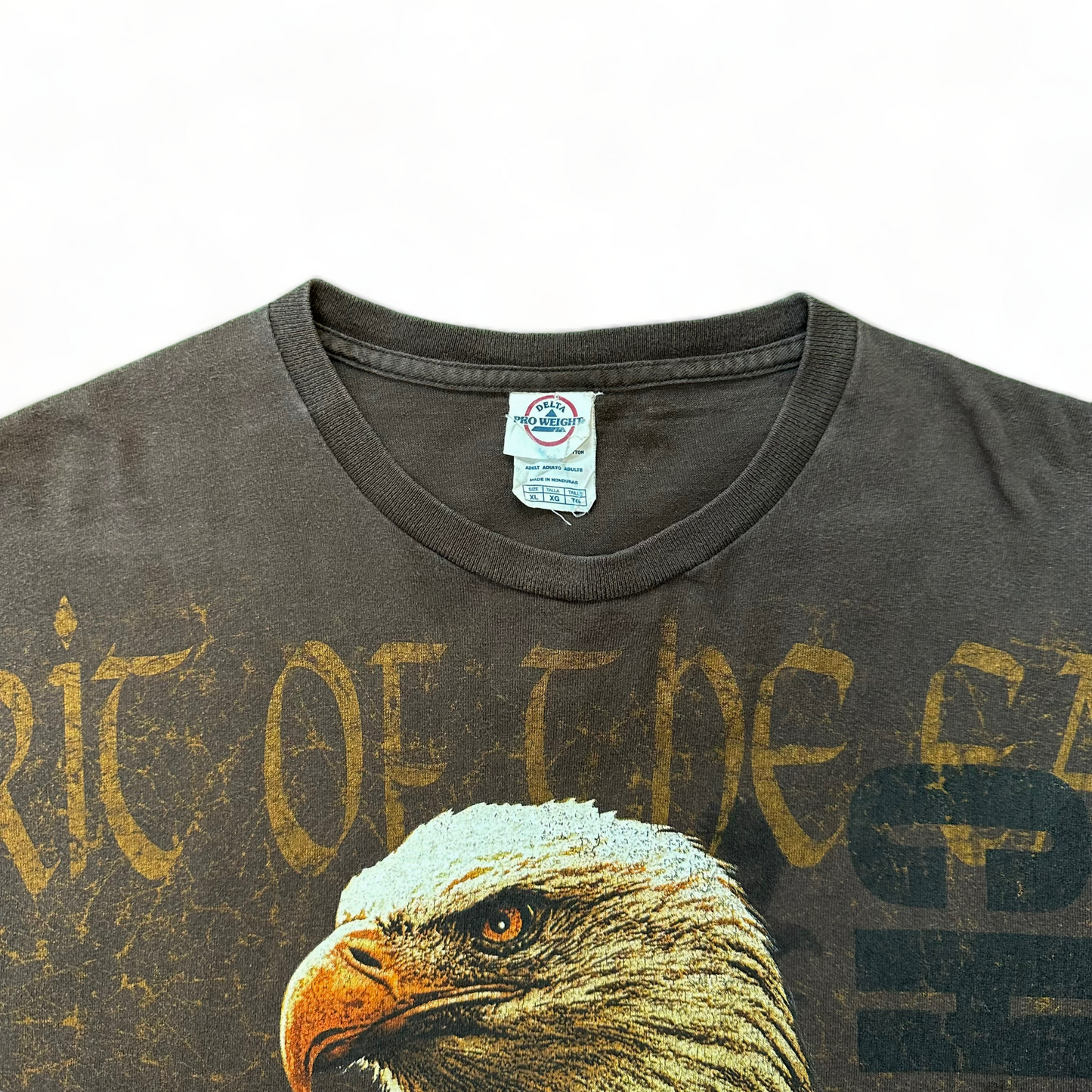 Vintage Spirit of the Eagle T-Shirt