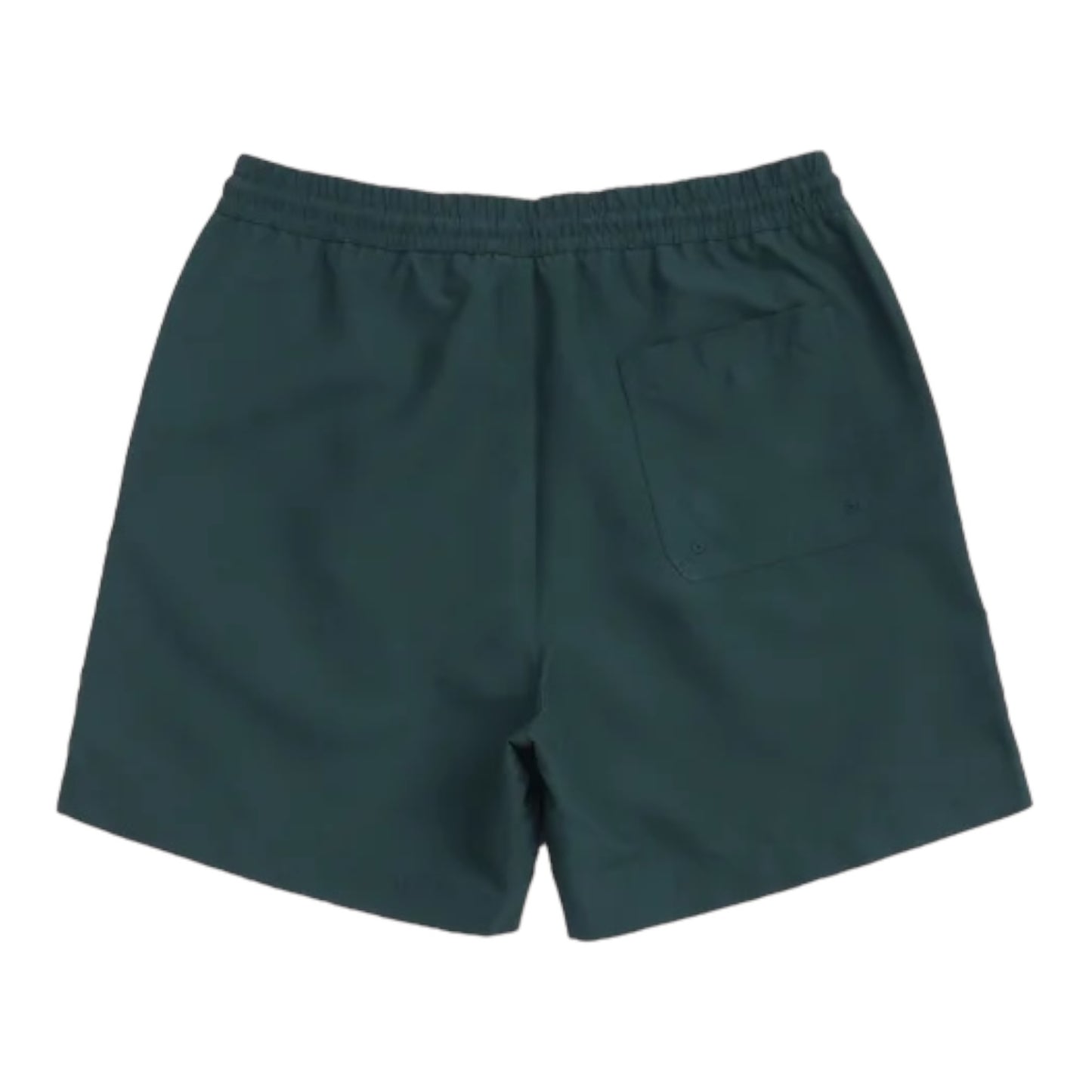 Carhartt Chase Swim Trunks