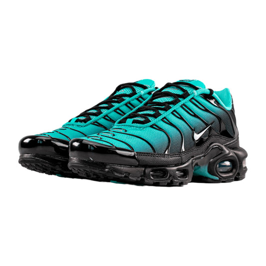 Nike Air Max Plus TN 'Black Aqua'